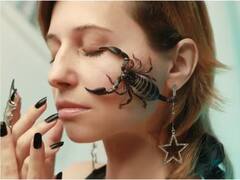 7 ਕਰੋੜ ਤੋਂ ਵੱਧ 'ਚ ਵਿਕਦਾ ਹੈ ਬਿੱਛੂ ਦਾ ਜ਼ਹਿਰ ! ਇਹ ਚੀਜ਼ ਬਣਾਉਂਦੀ ਹੈ ਇਸ ਨੂੰ ਮਹਿੰਗਾ