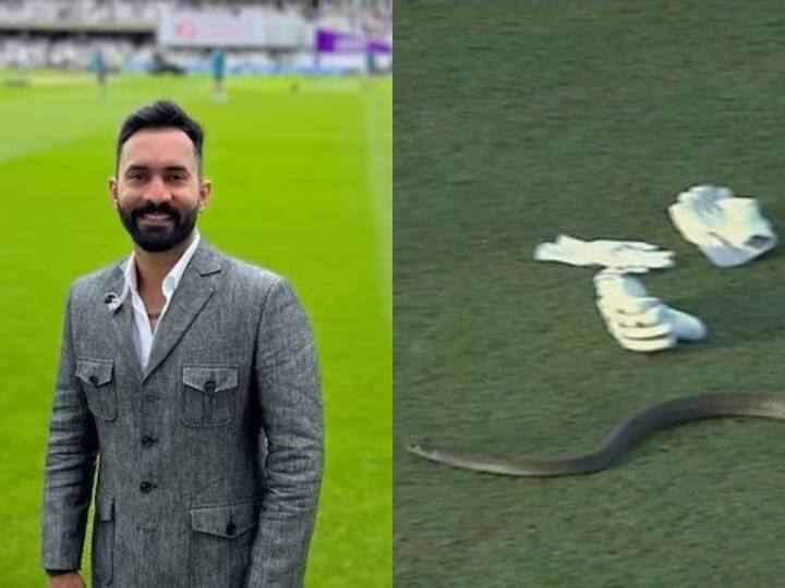 After See Snake Come Out In The Field Dinesh Karthik Funny Tweet For Bangladesh And recalls Nidahas Trophy मैदान पर सांप को देखकर दिनेश कार्तिक को क्यों याद आई बांग्लादेश की 'नागिन'?