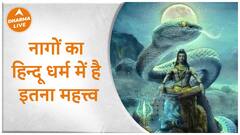 नागों का हिन्दू धर्म में है इतना महत्त्व | Naagpanchmi |Dharma Live