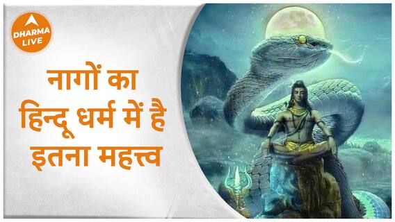 नागों का हिन्दू धर्म में है इतना महत्त्व | Naagpanchmi |Dharma Live