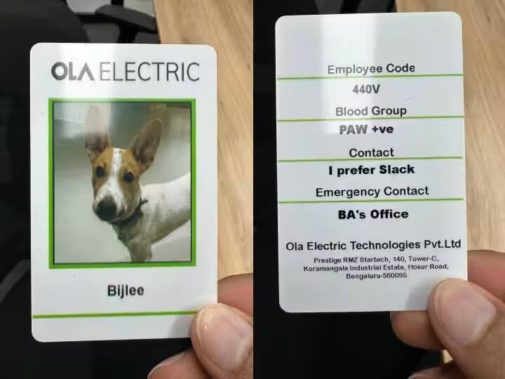 ola-electric introduces-bijlee as new employee bhavish-aggarwal- tweeted id card Ola Electric Employee Bijlee: ওলার সংসারে সারমেয় ! কোম্পানির নতুন কর্মী 'বিজলি'