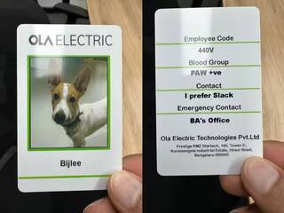 Ola Electric Employee Bijlee: ওলার সংসারে সারমেয় ! কোম্পানির নতুন কর্মী 'বিজলি'