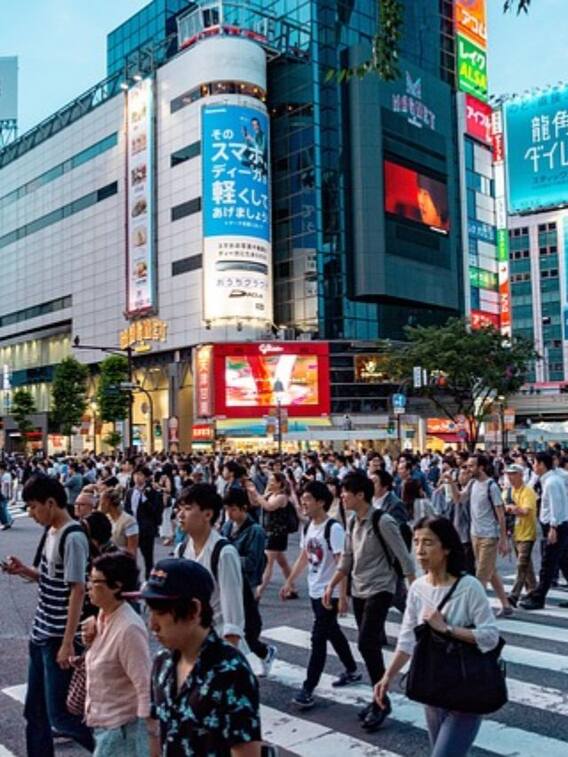 सांप, कुत्ता या मच्छर, किसकी वजह से ज्यादा होती हैं इंसानों की मौतें