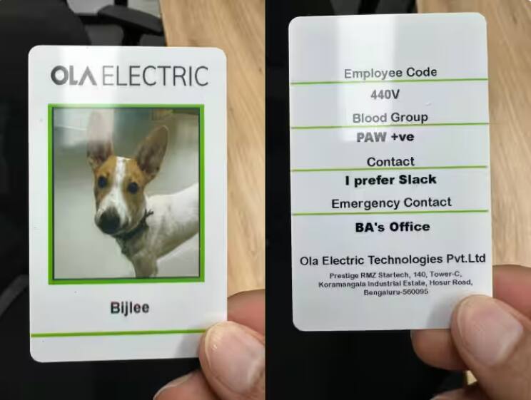 bhavish aggarwal introduces bijlee new ola electric employee see ola electric id card pic Ola Electric Employee Bijlee:  ਤੁਸੀਂ ਵੀ ਓਲਾ ਦੇ ਇਸ ਨਵੇਂ ਕਰਮਚਾਰੀ ਨੂੰ ਦੇਖ ਕੇ ਹੋ ਜਾਵੋਗੇ ਖ਼ੁਸ਼,  ਨਾਮ ਹੈ 'ਬਿਜਲੀ'