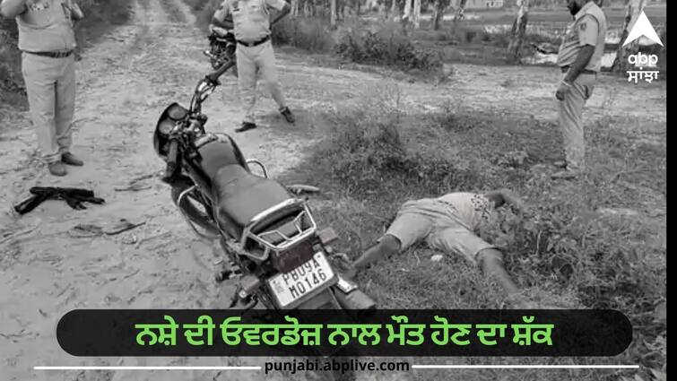 Dead bodies of 2 youths found in suspicious condition in Kapurthala  suspected to be drug overdose Jalandhar News: ਕਪੂਰਥਲਾ 'ਚ 2 ਨੌਜਵਾਨਾਂ ਦੀਆਂਸ਼ੱਕੀ ਹਲਾਤ 'ਚ ਮਿਲੀਆਂ ਲਾਸ਼ਾਂ, ਨਸ਼ੇ ਦੀ ਓਵਰਡੋਜ਼ ਨਾਲ ਮੌਤ ਹੋਣ ਦਾ ਸ਼ੱਕ, ਜਾਂਚ ਜਾਰੀ