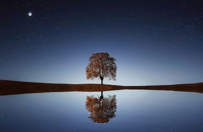 Stars in sky: लहानपणी आकाशाकडे पाहाताच किती तारे दिसायचे आठवतंय? आणि आता किती दिसतात? आकाश पूर्वीसारखं ताऱ्यांनी भरलेलं नाही असं तुम्हालाही वाटलं आहे का?