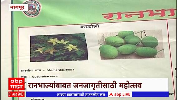 Nagpur : नागपूरयेथील कमळेश्वरमध्ये रानभाज्यांबाबत जनजागृती महोत्सव