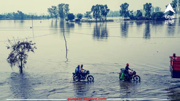 The danger of floods has not been avoided Announcement of school holidays till August 5 in this area Punjab Flood: ਨਹੀਂ ਟਲਿਆ ਹੜ੍ਹਾਂ ਦਾ ਖ਼ਤਰਾ ! ਇਸ ਇਲਾਕੇ 'ਚ 5 ਅਗਸਤ ਤੱਕ ਸਕੂਲਾਂ ਦੀਆਂ ਛੁੱਟੀਆਂ ਦਾ ਐਲਾਨ