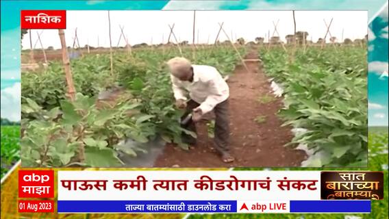 Saat Barachya Batmya 712:नाशिकमध्ये कमी पाऊसमानाचा फटका ते पीकविम्यासाठी मुदतवाढ,शेतकऱ्यांना दिलासा