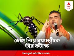 কেন BSF বাংলাদেশ থেকে মশার অনুপ্রবেশ ঠেকাতে পারছে না, এবার বলবেন মুখ্যমন্ত্রী? শুভেন্দুর কটাক্ষ