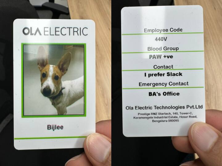Bhavish Aggarwal Introduces Bijlee New Ola Electric Employee See Ola Electric ID Card PIC Ola Electric Employee Bijlee: ओला के इस नए इम्प्लॉई को देखकर आप भी खुश हो जायेंगे, नाम है 'बिजली'