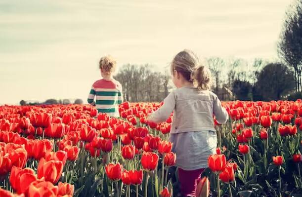 ਨੀਦਰਲੈਂਡਸ (ਐਮਸਟਰਡਮ ਅਤੇ ਦ ਹੈਗਯੂ): ਹੇਗ ਵਿੱਚ ਜ਼ਿਆਦਾਤਰ ਸਰਕਾਰੀ ਲੋਕ ਰਹਿੰਦੇ ਹਨ, ਦੂਜੇ ਪਾਸੇ ਐਮਸਟਰਡਮ ਆਪਣੇ 4/20 ਦੋਸਤਾਨਾ ਕੈਫੇ ਅਤੇ ਕਲੱਬਾਂ ਲਈ ਦੁਨੀਆ ਭਰ ਵਿੱਚ ਮਸ਼ਹੂਰ ਹੈ।