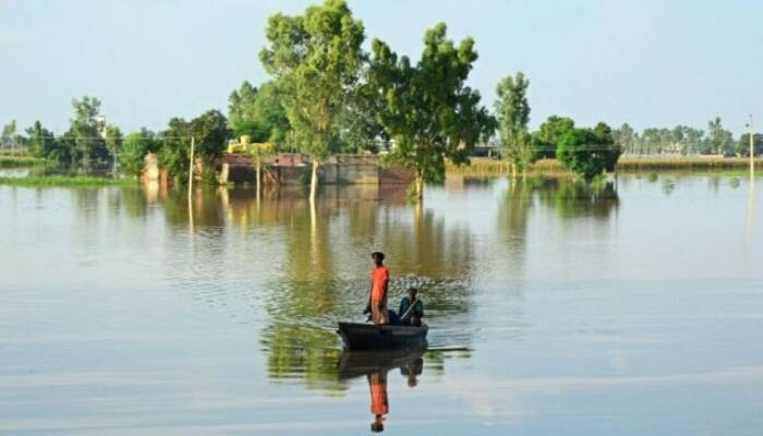 25 thousand acres of Crops damaged so far due to flood in Jalandhar , government 50 thousand per acre compensation Jalandhar News: ਜਲੰਧਰ ਜ਼ਿਲ੍ਹੇ 'ਚ 25 ਹਜ਼ਾਰ ਏਕੜ ਫਸਲ ਤਬਾਹ, ਸਰਕਾਰ ਦੇਵੇ 50 ਹਜ਼ਾਰ ਪ੍ਰਤੀ ਏਕੜ ਮੁਆਵਜ਼ਾ