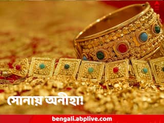 Gold Demand: সোনা কেনায় অনীহা ভারতীয়দের! উত্তরোত্তর দামবৃদ্ধি, নাকি নোটবাতিল, নেপথ্য কারণ ঠিক কী!