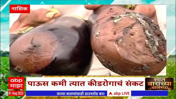 Saat Barachya Batmya 712 : नाशिकमध्ये पाऊस कमी त्यात कीडरोगाचं संकट : 01 August 2023