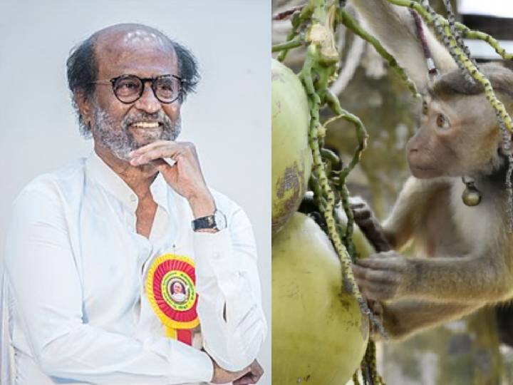 Actor Rajinikanth's Monkey story video viral in social media Rajinikanth: காகம் - கழுகு கதையை விடுங்க.. ரஜினி சொன்ன குரங்கு கதை தெரியுமா.. இதை படிங்க..!
