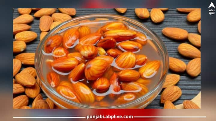 Almond: ਸੁੱਕੇ ਮੇਵੇ ਹਮੇਸ਼ਾ ਹੀ ਸਿਹਤ ਲਈ ਚੰਗੇ ਮੰਨੇ ਗਏ ਹਨ। ਬਾਦਾਮ ਖਾਣ ਦੇ ਵੀ ਆਪਣੇ ਫਾਇਦੇ ਹਨ। ਇਸ ਨੂੰ ਪੌਸ਼ਟਿਕ ਤੱਤਾਂ ਦਾ ਖਜ਼ਾਨਾ ਮੰਨਿਆ ਜਾਂਦਾ ਹੈ।