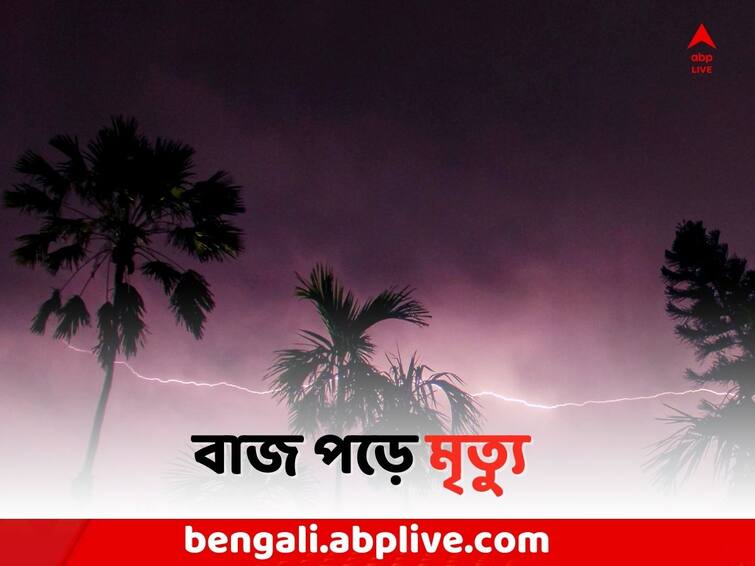 East Midnapore Local News: 3 died due to lightning in Haldia East Midnapore News: হলদিয়ায় বাজ পড়ে ৩ জনের মৃত্যু