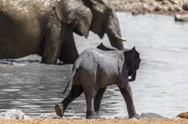 ਦੱਖਣੀ ਅਫ਼ਰੀਕਾ:  ਦੁਨੀਆਂ ਦਾ ਇੱਕੋ ਇੱਕ ਅਜਿਹਾ ਦੇਸ਼ ਹੈ ਜਿਸ ਦੀਆਂ ਤਿੰਨ ਰਾਜਧਾਨੀਆਂ ਹਨ। ਕੇਪ ਟਾਊਨ ਦੇਸ਼ ਦੀ ਵਿਧਾਨਕ ਰਾਜਧਾਨੀ ਵੀ ਹੈ। ਬਲੋਮਫੋਂਟੇਨ ਦੱਖਣੀ ਅਫਰੀਕਾ ਦੀ ਨਿਆਂਇਕ ਰਾਜਧਾਨੀ ਹੈ। ਇਸ ਤੋਂ ਇਲਾਵਾ, ਪ੍ਰੀਟੋਰੀਆ ਦੱਖਣੀ ਅਫ਼ਰੀਕਾ ਦੀ ਕਾਰਜਕਾਰੀ ਰਾਜਧਾਨੀ ਵੀ ਹੈ।