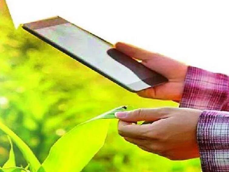 Agriculture news E-Panchnama campaign on experimental basis in Nagpur division E Panchnama : नागपूर विभागात प्रायोगिक तत्त्वावर ई-पंचनामा मोहीम, कमी वेळात अचूक पंचनामा; 10 ते 15 दिवसात शेतकऱ्यांना मदत मिळणार