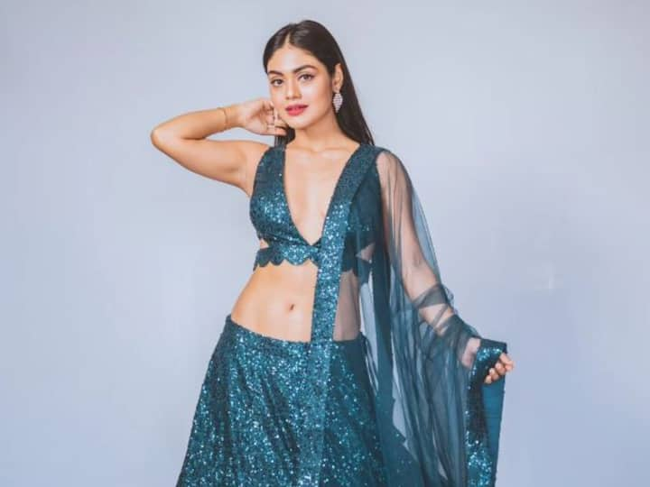 Sreejita De treated her fans with pictures in a metallic blue lehenga of sequins