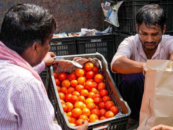 Tomato Price Hike Rs 259 Per Kg Sold At Mother Dairy Shops In Delhi