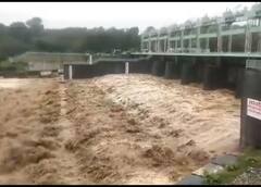 भारी बारिश के बीच रामनगर में बढ़ा कोसी बैराज का जलस्तर, यूपी के इन जिलों में प्रशासन को भेजा गया अलर्ट