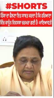 Nuh Clash | ਹਿੰਸਾ ਦਾ ਫੈਲਣਾ ਇਹ ਸਾਬਤ ਕਰਦਾ ਹੈ ਕਿ ਹਰਿਆਣਾ ਵਿੱਚ ਕਾਨੂੰਨ ਵਿਵਸਥਾ ਚਰਮਰਾ ਗਈ ਹੈ - ਮਾਇਆਵਤੀ