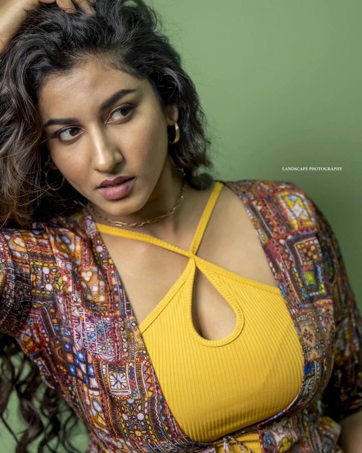 షార్ట్ ఫిలిమ్స్ తో కెరియర్ స్టార్ట్ చేసిన విష్ణు ప్రియ 'పోవే పోరా' అనే షో తో టెలివిజన్ రంగంలోకి అడుగు పెట్టింది. ఈ షోలో సుడిగాలి సుదీర్ తో కలిసి యాంకరింగ్ చేస్తూ ఆడియన్స్ లో మంచి గుర్తింపు తెచ్చుకుంది.