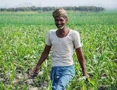 Price Hike: ৪৫ দিনে ৫০ লাখ, কোন মন্ত্রে ধনী কর্ণাটকের কৃষক ?