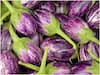 Brinjal: వంకాయ తింటే కొందరిలో అలర్జీ వస్తుందా? ఆ అలర్జీ ప్రాణాంతకమా?