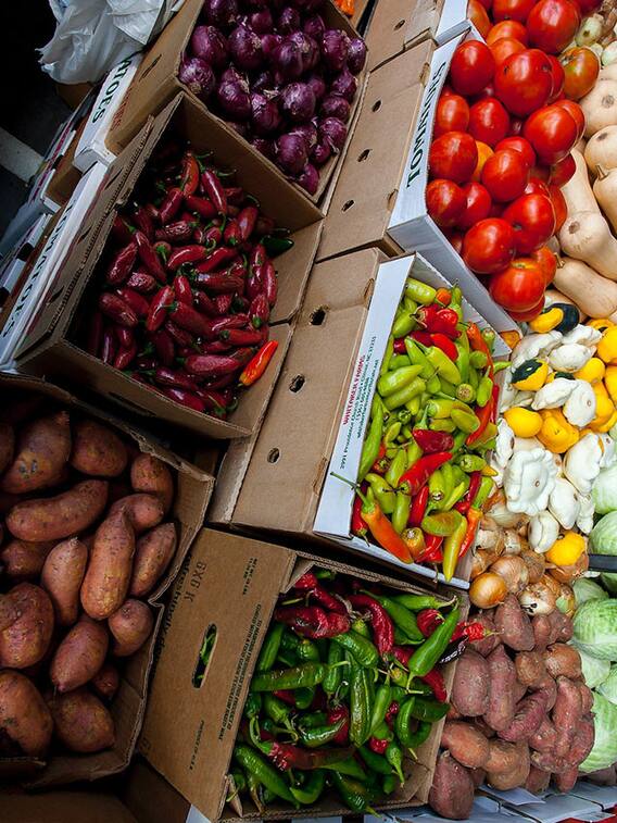 సూపర్‌ మార్కెట్లో రూ.267కు చేరిన టమాట!