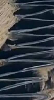 RBI ਨੇ ਬਦਲੇ ਕ੍ਰੈਡਿਟ, ਡੈਬਿਟ ਤੇ ਪ੍ਰੀਪੇਡ ਕਾਰਡਾਂ ਲਈ ਨਿਯਮ, ਜਾਣੋ