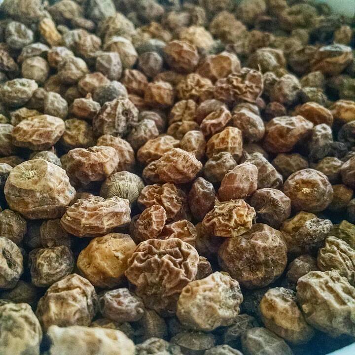 टाइगर नट्स खाने से ब्लड शुगर लेवल को भी कंट्रोल रख में रखने में मदद मिलती है. इसमें मौजूद घुलनशील फाइबर डायबिटीज के मरीजों के लिए फायदेमंद होता है. इसमें अमीनो एसिड अर्जिनिन पाया जाता है जो इंसुलिन के प्रोडक्शन को बढ़ा सकता है.