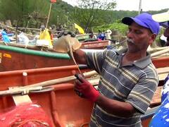 Konkan Fishing : शेपटी विषारी, पण मासा चविष्ट... मासेमारी हंगामाच्या सुरुवातीलाच वागळी मासा सापडल्याने मच्छिमारांच्या आनंदावर विरजण