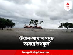 সুন্দরবনে উত্তাল সমুদ্র, আছড়ে পড়ছে সুউচ্চ ঢেউ, জল-স্থল একাকার
