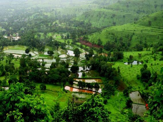 महाराष्ट्रात सरासरीच्या 106 टक्के पाऊस, दोन आठवडे पाऊस जाणार रजेवर