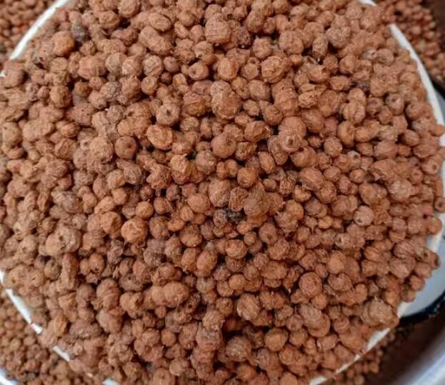 ਟਾਈਗਰ ਨਟਸ ਖਾਣ ਨਾਲ ਪਾਚਨ ਤੰਤਰ ਠੀਕ ਰਹਿੰਦਾ ਹੈ। ਦਰਅਸਲ, ਇਸ ਵਿੱਚ ਘੁਲਣਸ਼ੀਲ ਫਾਈਬਰ ਦੀ ਮਾਤਰਾ ਵੱਧ ਹੁੰਦੀ ਹੈ ਜੋ ਅੰਤੜੀਆਂ ਦੀ ਸਿਹਤ ਨੂੰ ਵਧਾਉਂਦੀ ਹੈ। ਇਸ 'ਚ ਲਿਪੇਸ ਅਤੇ ਅਮਾਈਲੇਜ਼ ਵਰਗੇ ਐਂਜ਼ਾਈਮ ਹੁੰਦੇ ਹਨ ਜੋ ਪੇਟ ਨਾਲ ਜੁੜੀਆਂ ਸਮੱਸਿਆਵਾਂ ਜਿਵੇਂ ਗੈਸ, ਬਦਹਜ਼ਮੀ ਨੂੰ ਘੱਟ ਕਰਦੇ ਹਨ।