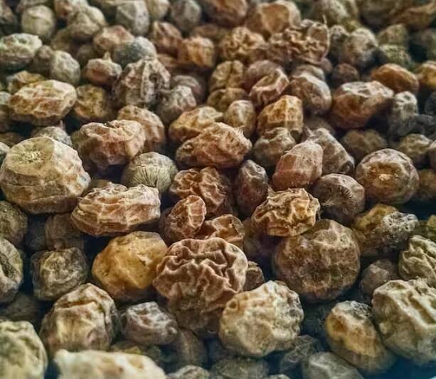 ਟਾਈਗਰ ਨਟਸ ਖਾਣ ਨਾਲ ਬਲੱਡ ਸ਼ੂਗਰ ਲੈਵਲ ਨੂੰ ਕੰਟਰੋਲ 'ਚ ਰੱਖਣ 'ਚ ਵੀ ਮਦਦ ਮਿਲਦੀ ਹੈ। ਇਸ 'ਚ ਮੌਜੂਦ ਘੁਲਣਸ਼ੀਲ ਫਾਈਬਰ ਸ਼ੂਗਰ ਦੇ ਮਰੀਜ਼ਾਂ ਲਈ ਫਾਇਦੇਮੰਦ ਹੁੰਦਾ ਹੈ। ਇਸ ਵਿੱਚ ਅਮੀਨੋ ਐਸਿਡ ਅਰਜੀਨਾਈਨ ਹੁੰਦਾ ਹੈ ਜੋ ਇਨਸੁਲਿਨ ਦੇ ਉਤਪਾਦਨ ਨੂੰ ਵਧਾ ਸਕਦਾ ਹੈ।