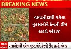 Cyclone Biparjoy Impact| વાવાઝોડાથી થયેલા નુકસાનને લઈને કેન્દ્ર સરકાર એક્શનમાં, જાણો શું લીધા પગલા?