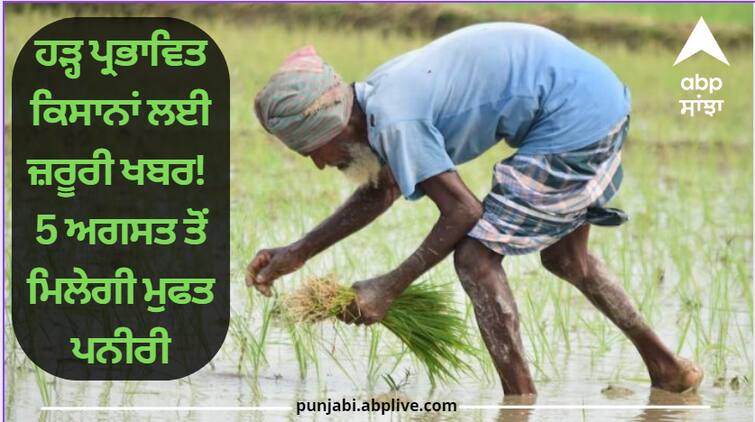 Sangrur News Important news for flood-affected farmers From August 5 you will get free cheese dial this number ਹੜ੍ਹ ਪ੍ਰਭਾਵਿਤ ਕਿਸਾਨਾਂ ਲਈ ਜ਼ਰੂਰੀ ਖਬਰ! 5 ਅਗਸਤ ਤੋਂ ਮਿਲੇਗੀ ਮੁਫਤ ਪਨੀਰੀ, ਇਹ ਨੰਬਰ ਕਰੋ ਡਾਇਲ