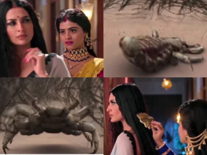 पवित्रा पुनिया के सिर में जूं देखकर फैंस के उड़े होश, इश्क की दास्तान नागमणि का ट्रैक देख यूजर्स बोले- मतलब Lice को भी नहीं छोड़ा ishq ki dastaan naagmani lice track episode netizen troll said did not even spare juu पवित्रा पुनिया के सिर में जूं देखकर फैंस के उड़े होश, इश्क की दास्तान नागमणि का ट्रैक देख यूजर्स बोले- मतलब Lice को भी नहीं छोड़ा