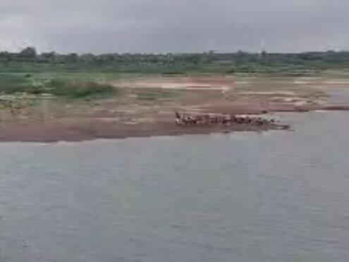 चांगला पाऊस नसल्यानं धरणांच्या पाणीपातळीनं गाठला तळ