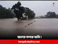 টানা বৃষ্টিতে জলের তলায় কয়েকশো বিঘা জমির সবজি, ক্ষতির আশঙ্কা সোনামুখীর চাষিদের !