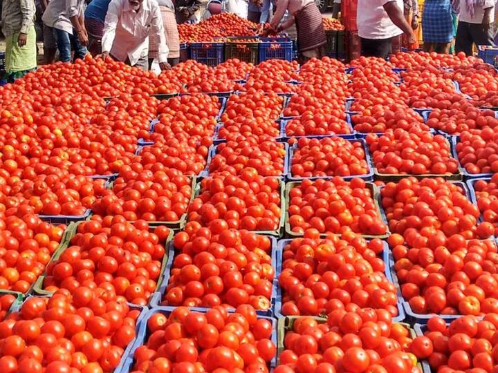Tomato Price Paytm ONDC sold 10000 kgs tomatoes at discounted price in just 6 days know how to order online Tomatos: పేటీఎంలో ఆర్డర్‌ చేస్తే ₹70కే కిలో టమాటాలు, వారంలోనే 10,000 కిలోల సేల్స్‌