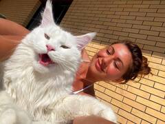 Russian Big Cat: 4 साल के बच्चे जितनी बड़ी रूसी बिल्ली, सोशल मीडिया पर वायरल, देखें तस्वीरें