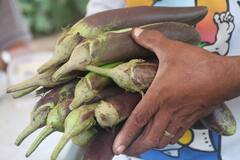 Brinjal: বেগুন একদম পছন্দ করেন না? পাতে রেখে দেখুন, হাজার সমস্যার সমাধান হবে নিমেষে