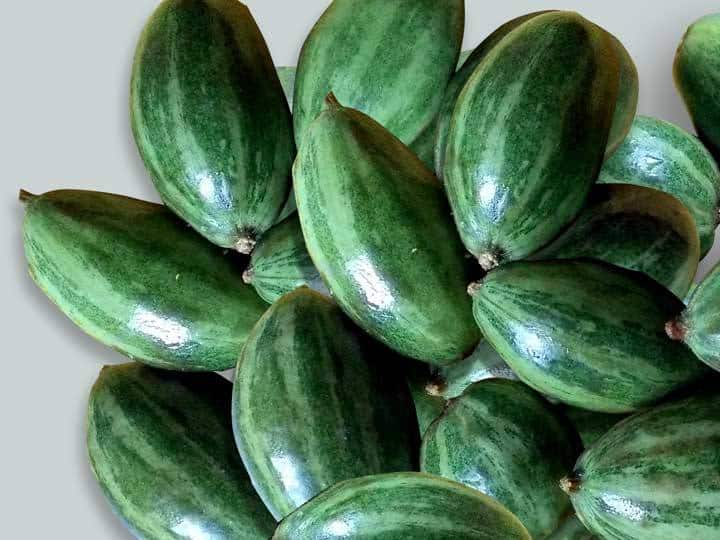 Pointed Gourd Health Benefits Of This Seasonal Vegetable परवल ऐसी सब्जी है जो ब्लड प्यूरीफाई करता है, लेकिन इसे खाने के हैं ये नुकसान, जान लीजिए