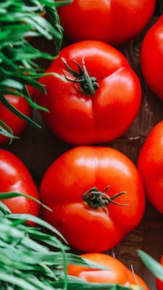 টোম্যাটো-বেগুন-উচ্ছে...ফল না সবজি ?