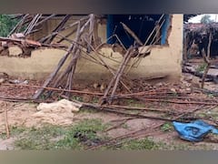 Gadchiroli : गडचिरोलीच्या आंबेझरीत रानटी हत्तींचा कळप आला, 14 घरे पाडून गेला